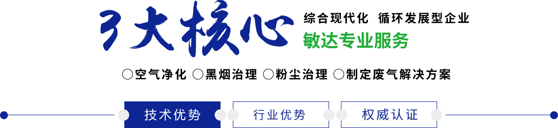 黑人大鸡吧流水视频敏达环保科技（嘉兴）有限公司